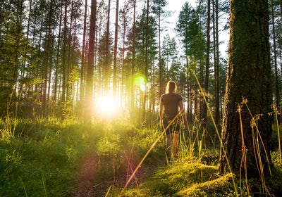 Minska sijoittaa suomalaisiin metsiin