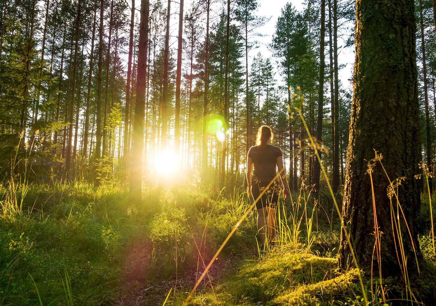Nainen metsässä auringonlaskussa. Minska artikkeli|||
